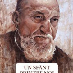 Un sfant printre noi. Parintele martir Constantin Sarbu - Danion Vasile