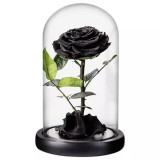 Cumpara ieftin Trandafir criogenat negru (&Oslash;9,5cm) in cupola de sticla (17x28cm)