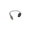 Sonda Lambda BMW 7 E65 E66 E67 BOSCH 0258017038