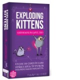 Joc de societate Exploding Kittens - Ghinioane pe capul tau! limba romana