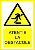 Placuta atentie la obstacole