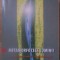 METAMORFOZELE LUMINII. INTRODUCERE IN TEORIA LASERILOR BIOLOGICI-TRAIAN D. STANCIULESCU, DANIELA M. MANU-232471