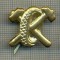 Y 1825 INSIGNA - MILITARA -SEMN DE ARMA - AUTO -PENTRU COLECTIONARI