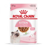 Royal Canin Kitten hrana umeda pisica junior (in sos), 85 g