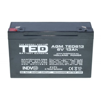 Acumulator Plumb - Acid 6V-13A TED foto