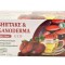 SHITAKE&amp;GANODERMA-CEAI INSTANT 20DZ