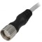 Cablu Conectare M23 PIN 12 Drept 5m IP67
