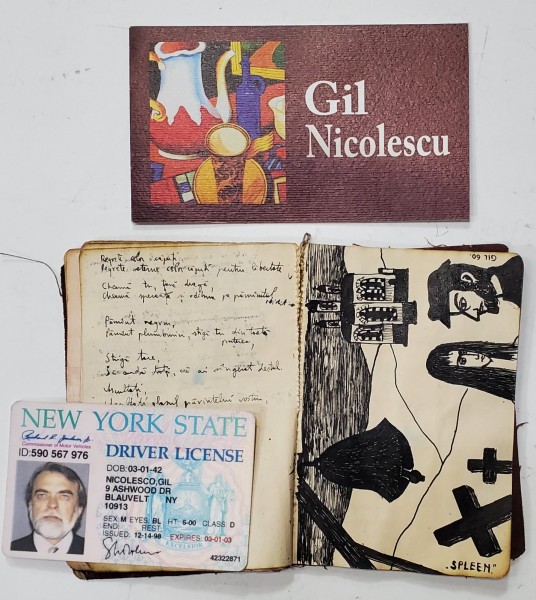 CARNETEL DE SCHITE SI INSEMNARI SI LICENTA DE SOFER DIN S.U.A. ALE PICTORULUI ROMAN GIL NICOLESCU ( 1942-2020)