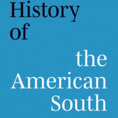 A New History of the American South