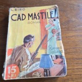 Cad mastile - L. Biro