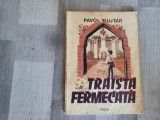 Traista fermecata de Pavol Bujtar