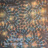 Disc vinil, LP. SONNE IM HERZEN. SOARE IN INIMI-FORMATIA STELELE-220134, Electrecord