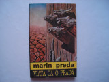 Viata ca o prada - Marin Preda