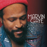 Marvin Gaye Collected, 180g LP, 2vinyl