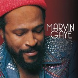 Marvin Gaye Collected 180g LP (2vinyl)