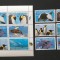 TUVA-Pinguini- 6 Val.+ 1 M/Sh.**( Colita )TR 28
