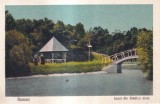 Roman. Lacul din Gradina mare (necirculata)