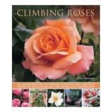 Climbing roses