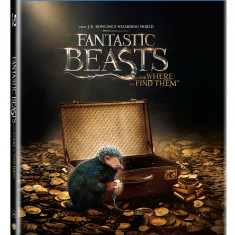 Animale Fantastice si unde le poti gasi 3D (Blu Ray Disc) Steelbook / Fantastic Beast and Where to Find Them | David Yates