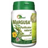 Margusa Star International 60tb