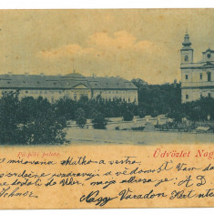 3776 - ORADEA, Church, Litho, Romania - old postcard - used