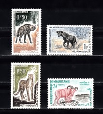 A12 S2 7 - Timbre foarte vechi - Mauritania - animale salbatice