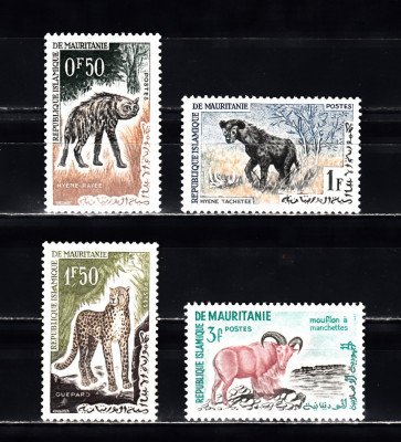 A12 S2 7 - Timbre foarte vechi - Mauritania - animale salbatice foto