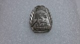 insigna AS Viitorul IGCL Petrosani