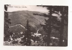 RF72 -Carte Postala- Sinaia, vedere spre Valea Rea, circulata 1963