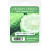 Country Candle Fresh Bergamot ceară pentru aromatizator 64 g