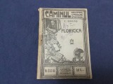 Carte / Nuvela - Floricica de C. Hogas / Biblioteca Caminul perioada interbelica 96 pagini !