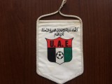 Fanion fotbal Federatia de fotbal Emiratele Arabe Unite United Arab Emirates