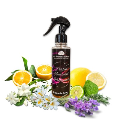 Type Aqua de Gioo - Spray Odorizant Profesional foto