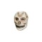 Masca Halloween - Craniu fosforescent