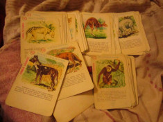 carti vechi cu animale 57 buc x35 foto