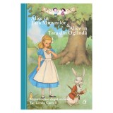 Alice in Tara Minunilor si Alice in Tara din Oglinda, Eva Mason