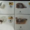 Botswana-Fauna,Hiene-set complet FDC