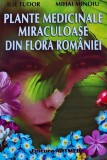 Plante medicinale miraculoase din flora Rom&acirc;niei - 2004 - Tudor Ilie (E382)