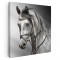 Tablou portret cal alb gri Tablou canvas pe panza CU RAMA 80x80 cm