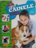 Asculta-ti Cainele si Vorbeste pe Limba Lui - Sarah Whitehead - Ghid de Dresaj si Comportament Canin