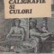 Caligrafie si culori