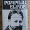 Ioana Vusdea - Pompiliu Eliade