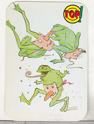 bnk cld Calendar de buzunar 1996 Top!