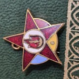 Insigna PIONIER STELUTA , grad II