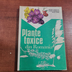Plante toxice din Romania de Valeriu Zanoschi,Eugen Turenschi,Mihai Toma