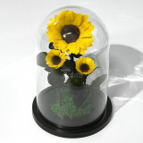 Cumpara ieftin Floarea Soarelui Criogenata &Oslash;10-12cm in cupola sticla 17x28cm
