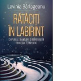 Rataciti in labirint. Chipuri ale bantuirii si mantuirii in procesul terapeutic - Lavinia Barlogeanu