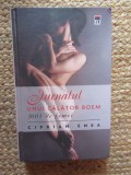 JURNALUL UNUI CALATOR BOEM , 1001 DE FEMEI de CIPRIAN ENEA , 2012