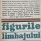 FIGURILE LIMBAJULUI-PIERRE FONTAINER-99729