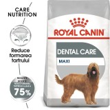 Royal Canin Maxi Dental Care Adult hrana uscata caine, reducerea formarii